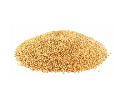 amaranth-seed